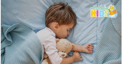 Herbalis Kids: огляд колекції дитячих матраців