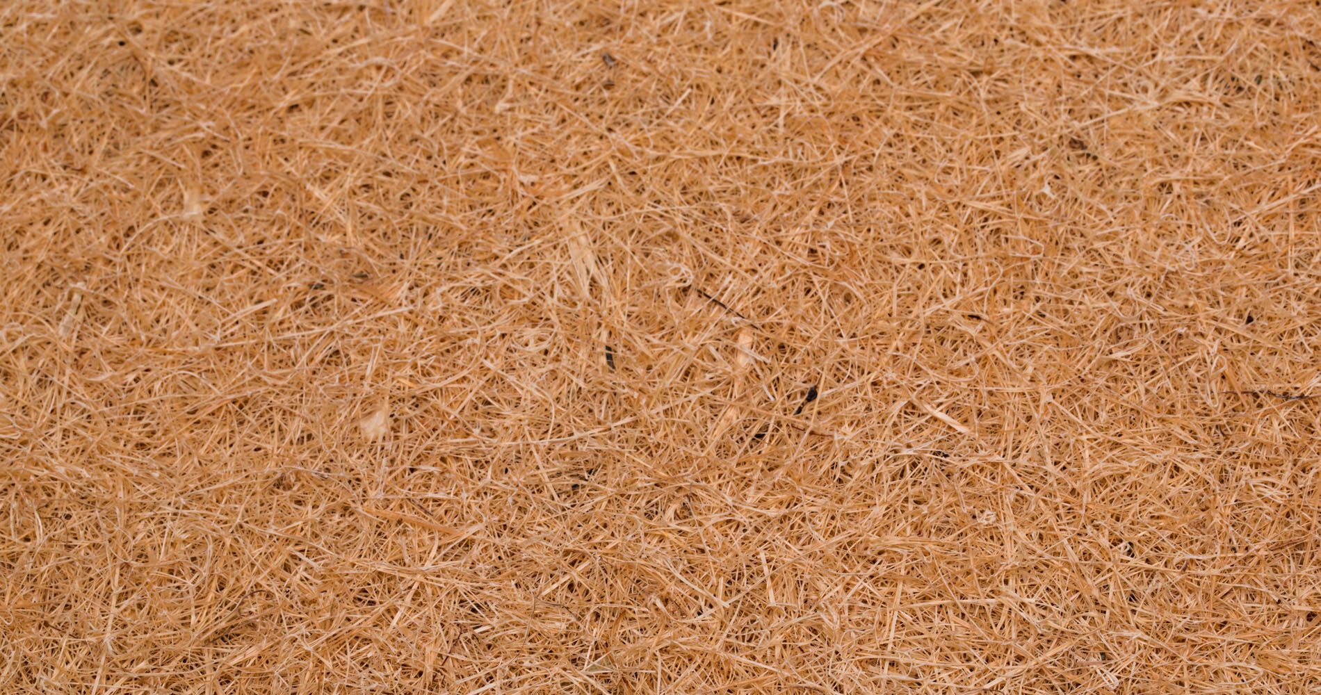 Coconut coir Coconut coir