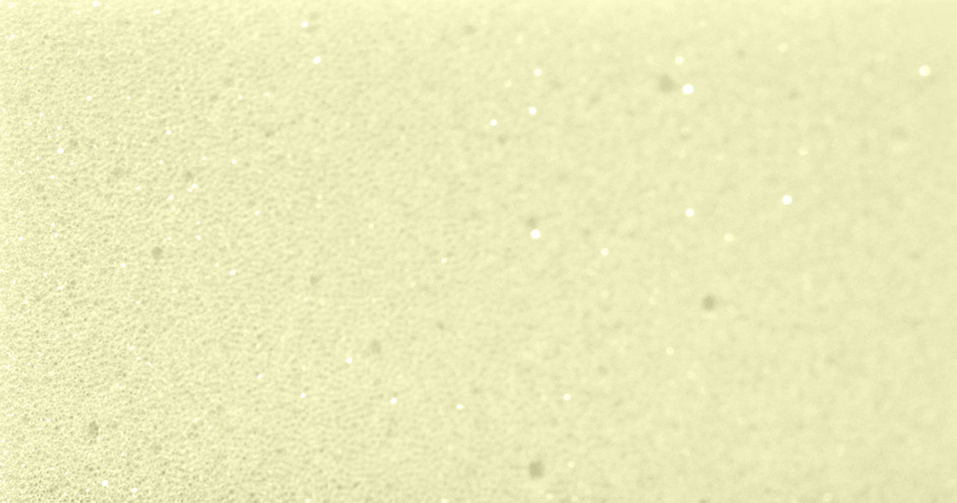 High elastic foam