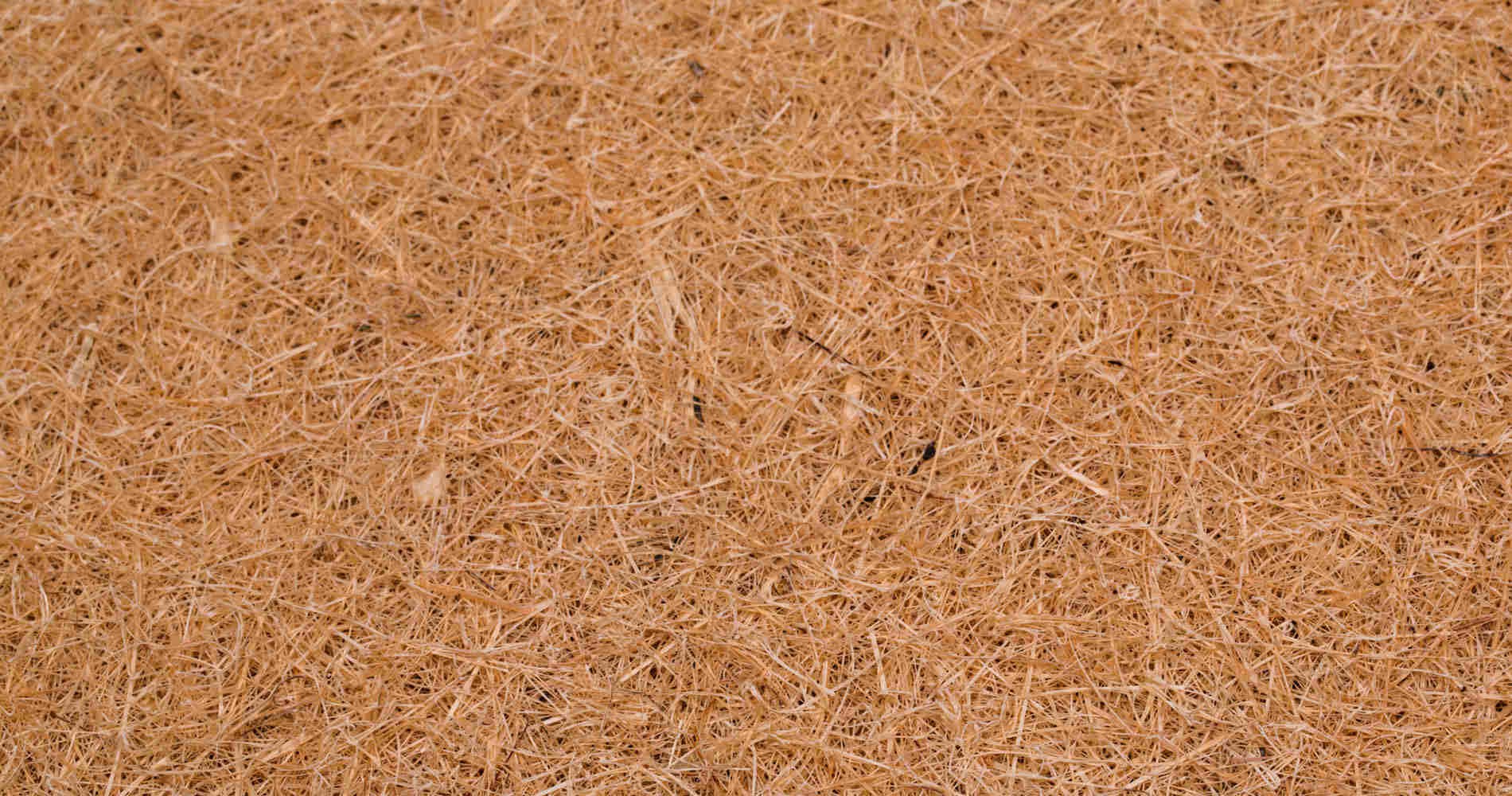 Latexed coconut coir