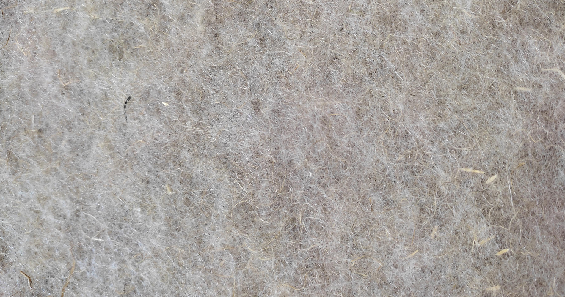 Bio fiber