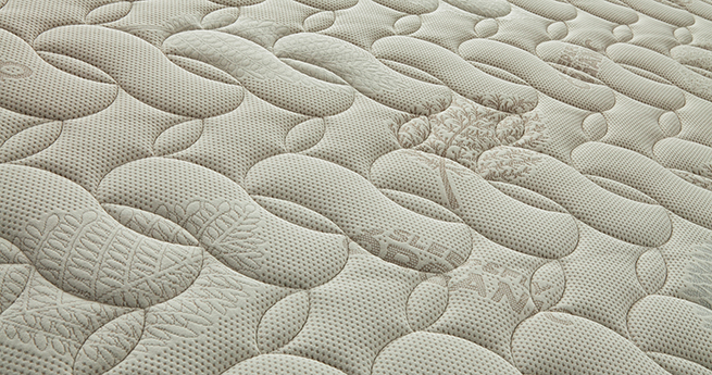 Organic cotton fabric
