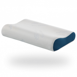 Day&Night orthopedic Memory Pillow 